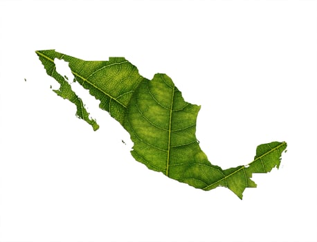 Mexico map made of green leaves on soil background ecology concept photo