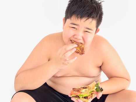 A fat boy is happily eating sandwich photo