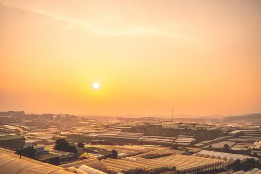 Amazing sunset landscape in agricultural greenhouse valley in Da Lat City. The light from the greenhouse to grow flowers in Da Lat. Travel and landscape concept photo