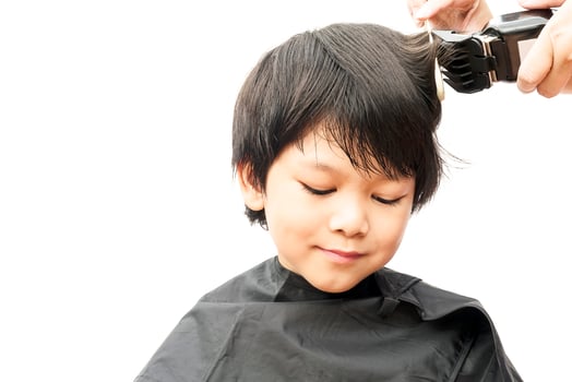 A boy is cut his hair by hair dresser isolated over white background photo