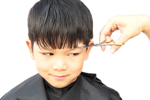 A boy is cut his hair by hair dresser isolated over white background photo