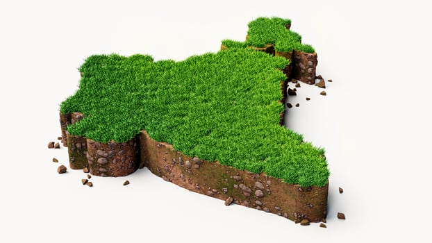 Detailed India Map with green Grass and soil mud 3d illustration photo