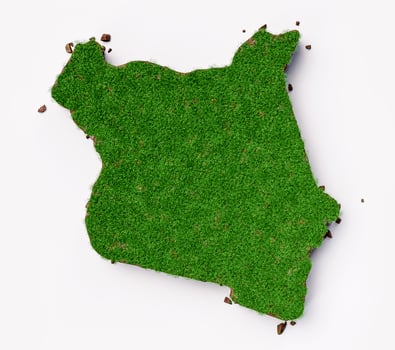 Kenya country Grass and ground texture map 3d illustration photo
