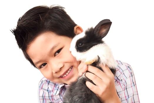 Asian kid playing with lovely baby rabbit isolated over white photo