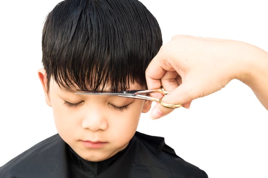A boy is cut his hair by hair dresser isolated over white background photo