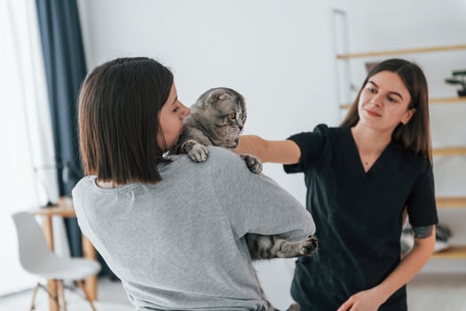 Owner holding animal. Scottish fold cat is in the grooming salon with female veterinarian photo
