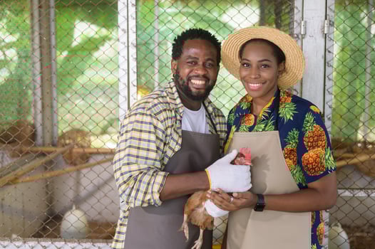 Happy black agronomist couple enjoying and working in farmland, agriculture concept photo