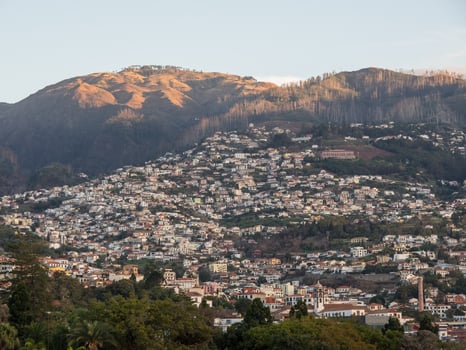 the island of madeira photo