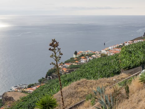 Madeira island in portugal photo