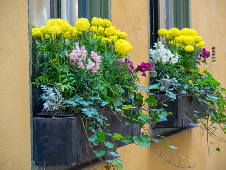 Stockholm city in sweden photo
