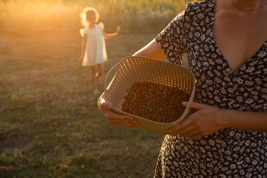 Fresh ripe red berries of wild strawberries in a basket in the hands of a woman in a summer dress in the countryside in the sunlight. Gifts of nature, summer vitamins, berry picking, harvest. photo