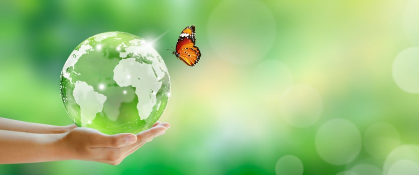 World mental health and World earth day. Saving environment and World Ecology Concept. photo