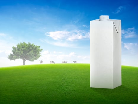 Fresh milk in glass and blurred landscape with cow on meadow. Healthy eating. Rustic style. Space for design photo