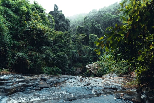 Waterfall in the tropical forest in the rainy season photo