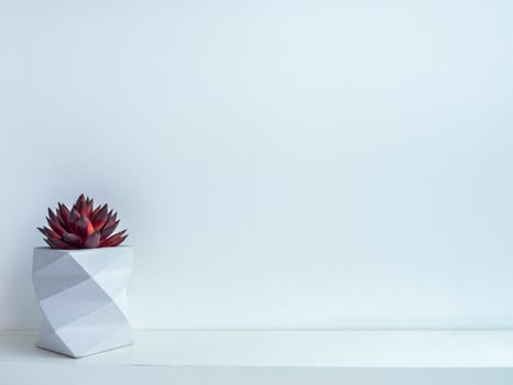 Cactus pot. Concrete pot. Modern geometric concrete planter. photo