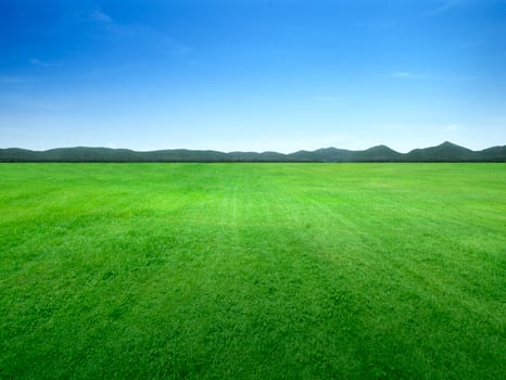 Background image of lush grass field under blue sky photo