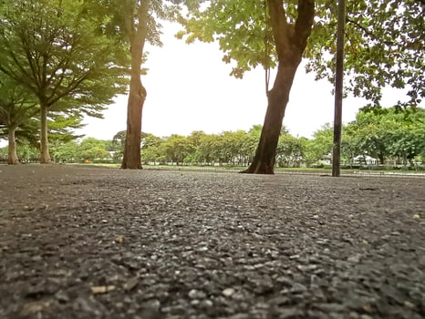 Walkways in public parks in Thailand photo