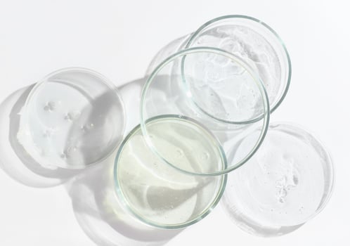 glass Petri dishes on a laboratory table. photo