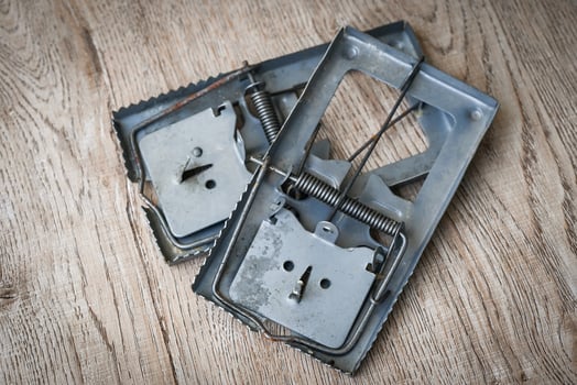 mousetrap , steel metal mousetrap for get rid of rats in the house photo