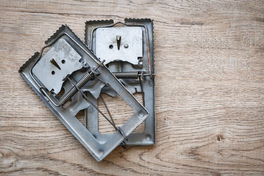 mousetrap , steel metal mousetrap for get rid of rats in the house photo