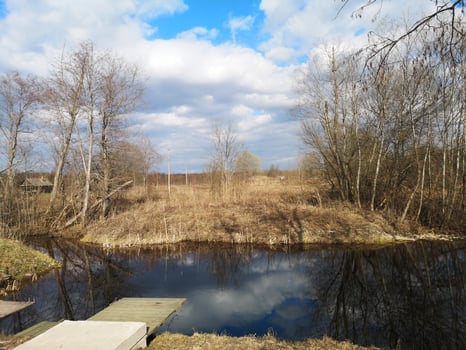 a small pond with a wooden dock and trees photo