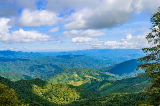 Beautiful mountain with meadow and forest as it is layer with the light shade at noon photo