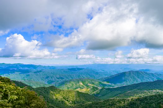 Beautiful mountain with meadow and forest as it is layer with the light shade at noon photo
