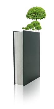 Books and tree isolated on white background photo