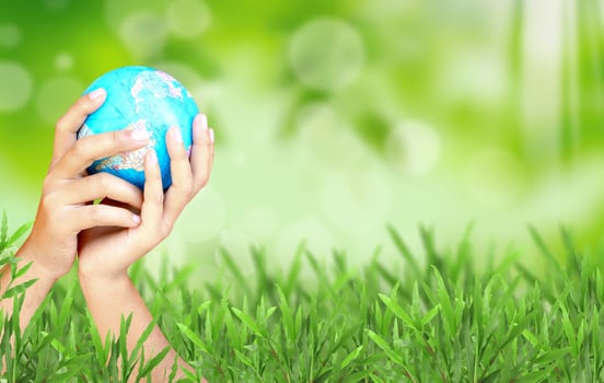 Natural green blurred background photo
