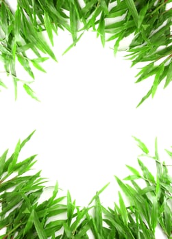Grass frame with space for text photo