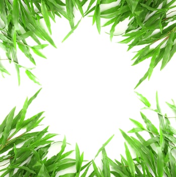 Grass frame with space for text photo