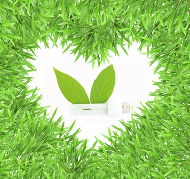 isolated green heart grass photo frame with lamp