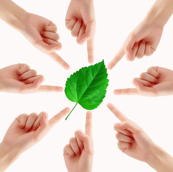 green plant surrounded by hands on white photo
