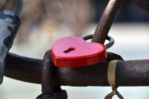 Love padlocks on the fence of the iron fence in the park photo