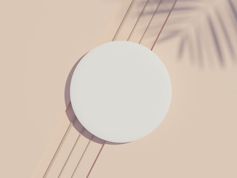 3d render top view of white blank cylinder frame for mock up and display products with shadows of palm leaves and earth tone background. photo