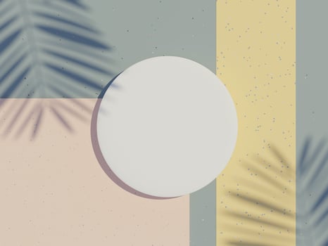 3d render top view of white blank cylinder frame for mock up and display products with shadows of palm leaves, earth tone, and terrazzo wall background. Creative idea concept. photo