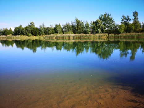 A river or lake surrounded by trees photo