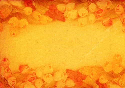 paper background with tulips photo