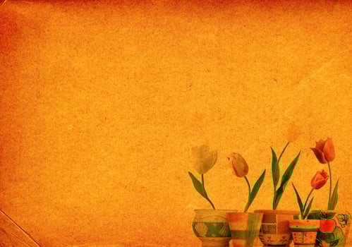 paper background with tulips photo