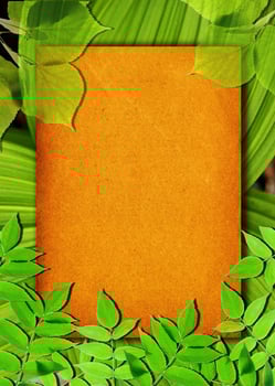 Old paper background with green leaves photo