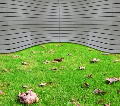 Wood and Grass for background and text photo