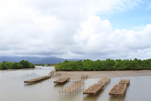 Shellfish farm, Thailand photo