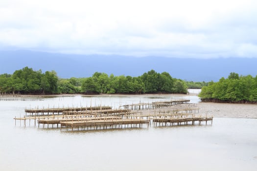 Shellfish farm, Thailand photo