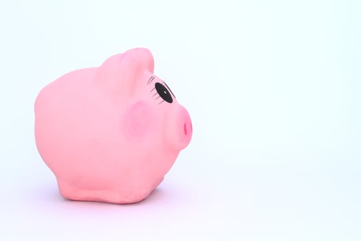 Pink Piggy Bank photo