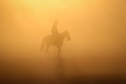 Yilki Horses Running in Field, Kayseri, Turkey photo