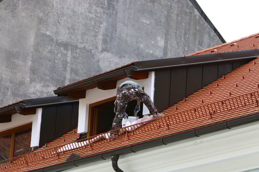 Tiled roofs of the city of Ljubljana the capital of Slovenia. photo