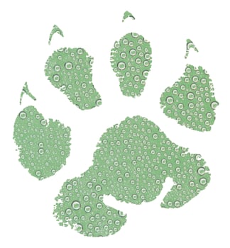 Water drops in on green animal footprint pattern photo