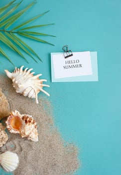 Summer composition. tropical palm leaves, seashells on blue background. Summer concept. Flat lay, top view, copy space photo