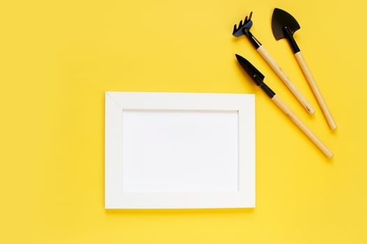 gardening tools and houseplant on color background. frame for mock up. copy space. photo