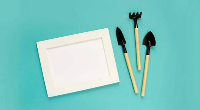 gardening tools and houseplant on color background. frame for mock up. copy space. photo